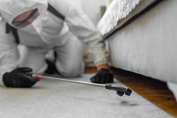 Professional Ant Control technician working in Parshall, ND
